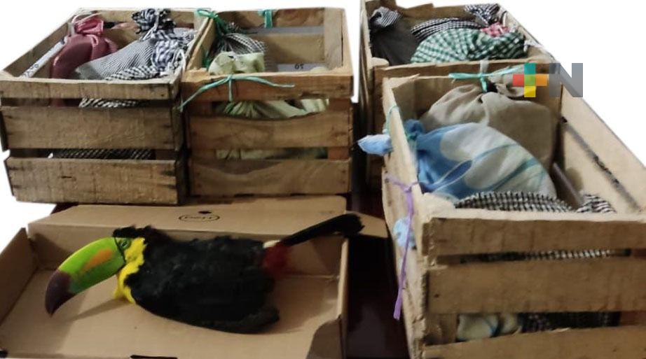 Detenidas dos personas en San Andrés Tuxtla por traficar tucanes