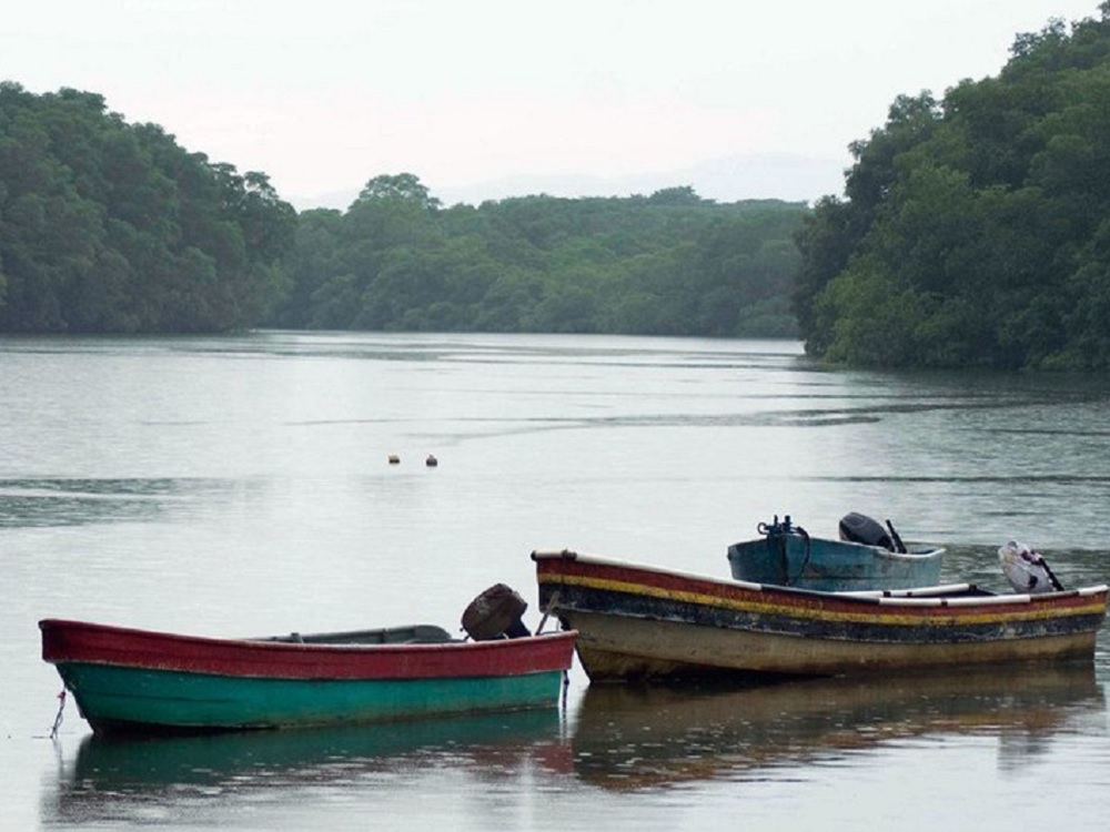 Venezolanos superan a los haitianos como el grupo más numeroso en cruzar el Darién