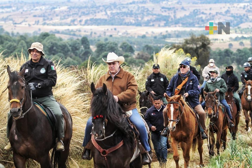 Refuerzan SSP y autoridades forestales operativos para proteger el Parque Nacional Cofre de Perote