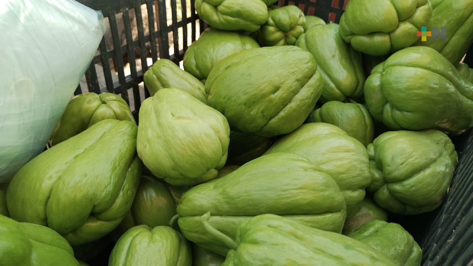 En Actopan producen chayote de exportación