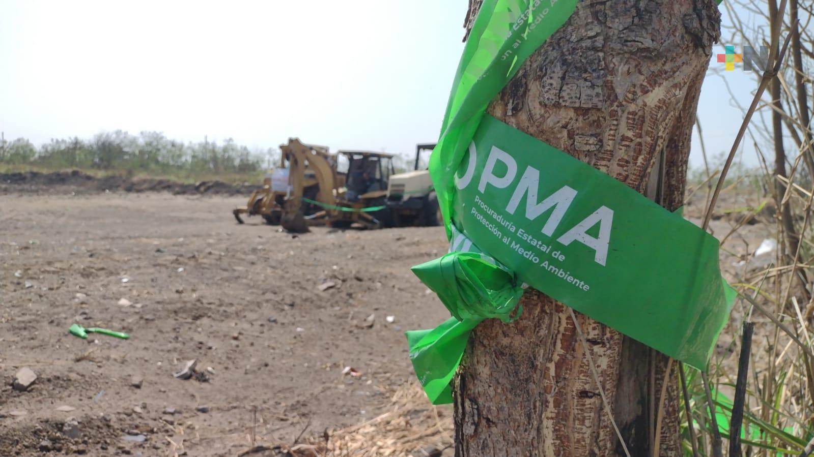 Detiene PMA construcción de gasolinera en humedal de Arroyo Moreno