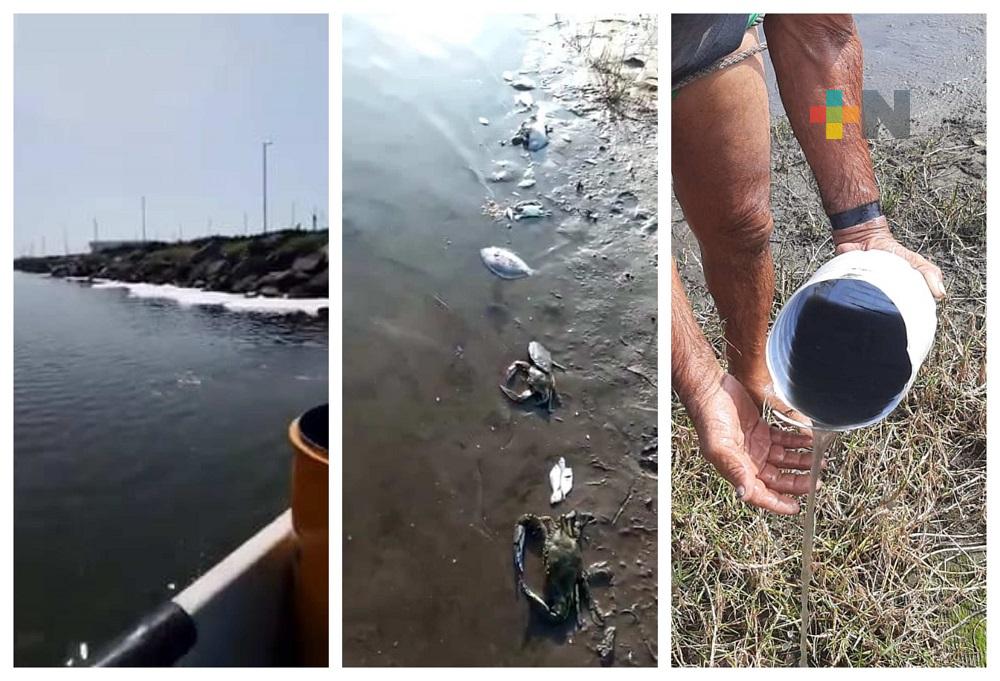 Exigen pescadores indemnización por contaminación que genera recinto portuario