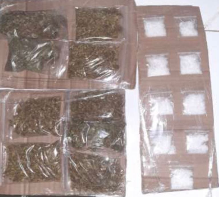 Caen a cuatro narcomenudistas en Xalapa: SSP