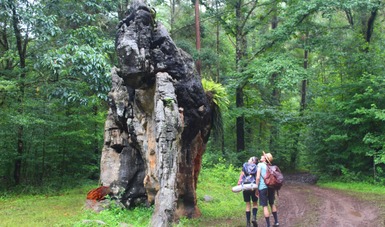 Secretaría de Turismo presenta expectativas del turismo de México para 2022