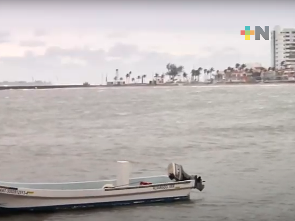 Saldo blanco tras rachas de viento en municipio de Veracruz