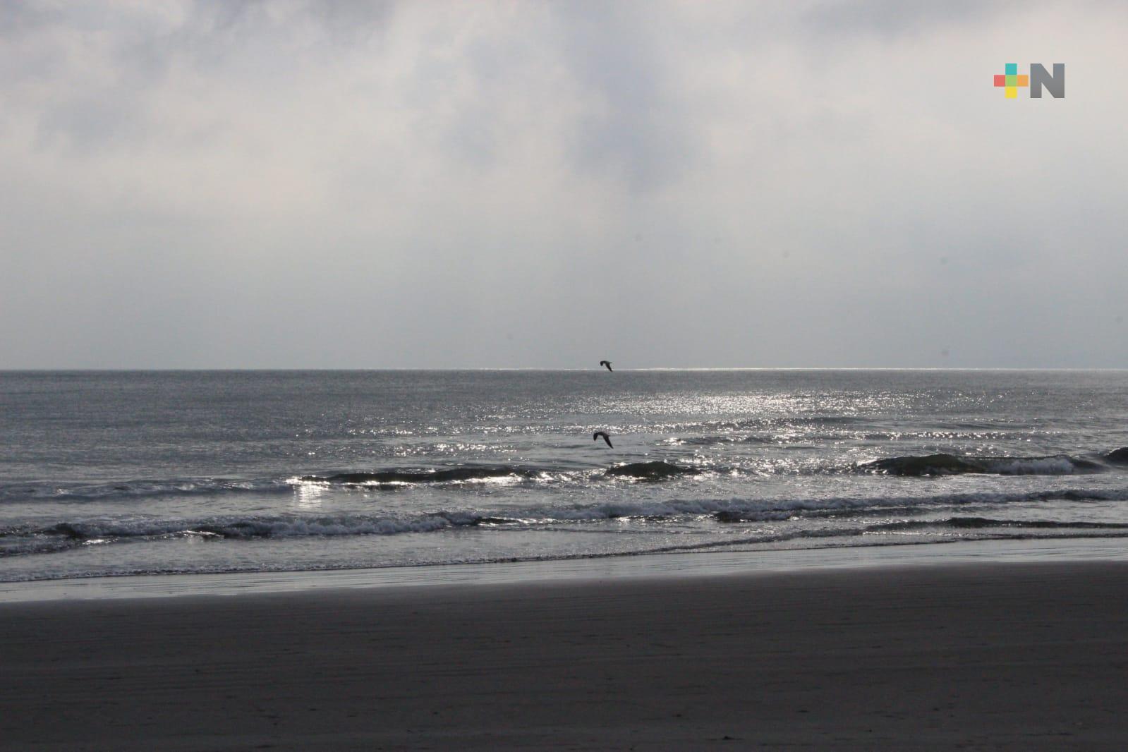 Sin afectaciones en Veracruz y Boca del Río por FF29