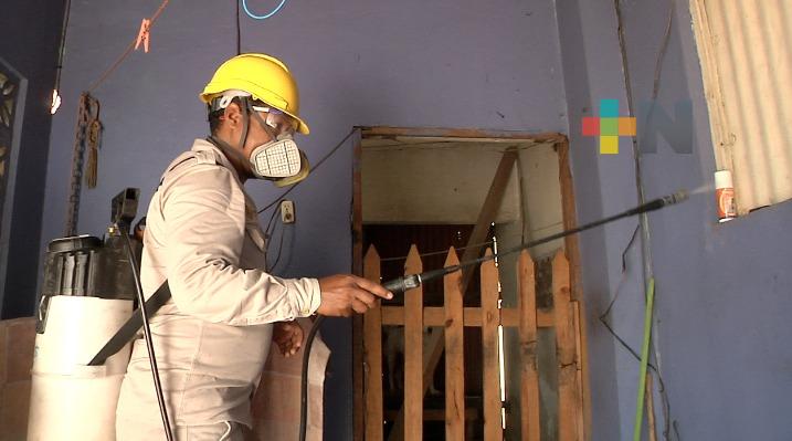 Casos de dengue, zika y chikungunya van a la baja en municipio de Coatzacoalcos