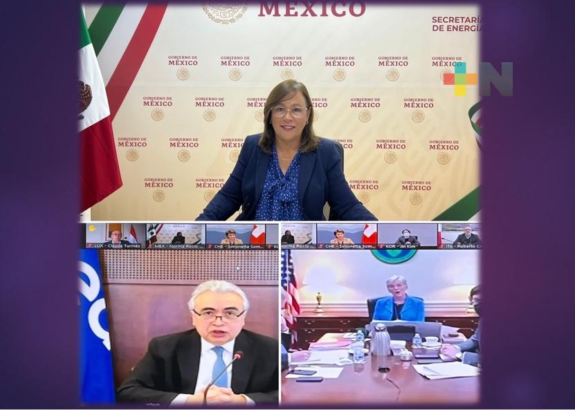 Rocío Nahle participa en sesión de la Agencia Internacional de Energía