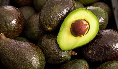 Se reactivan exportaciones de aguacate de Michoacán a EU