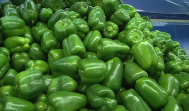 México, principal exportador mundial de pimientos frescos: Agricultura