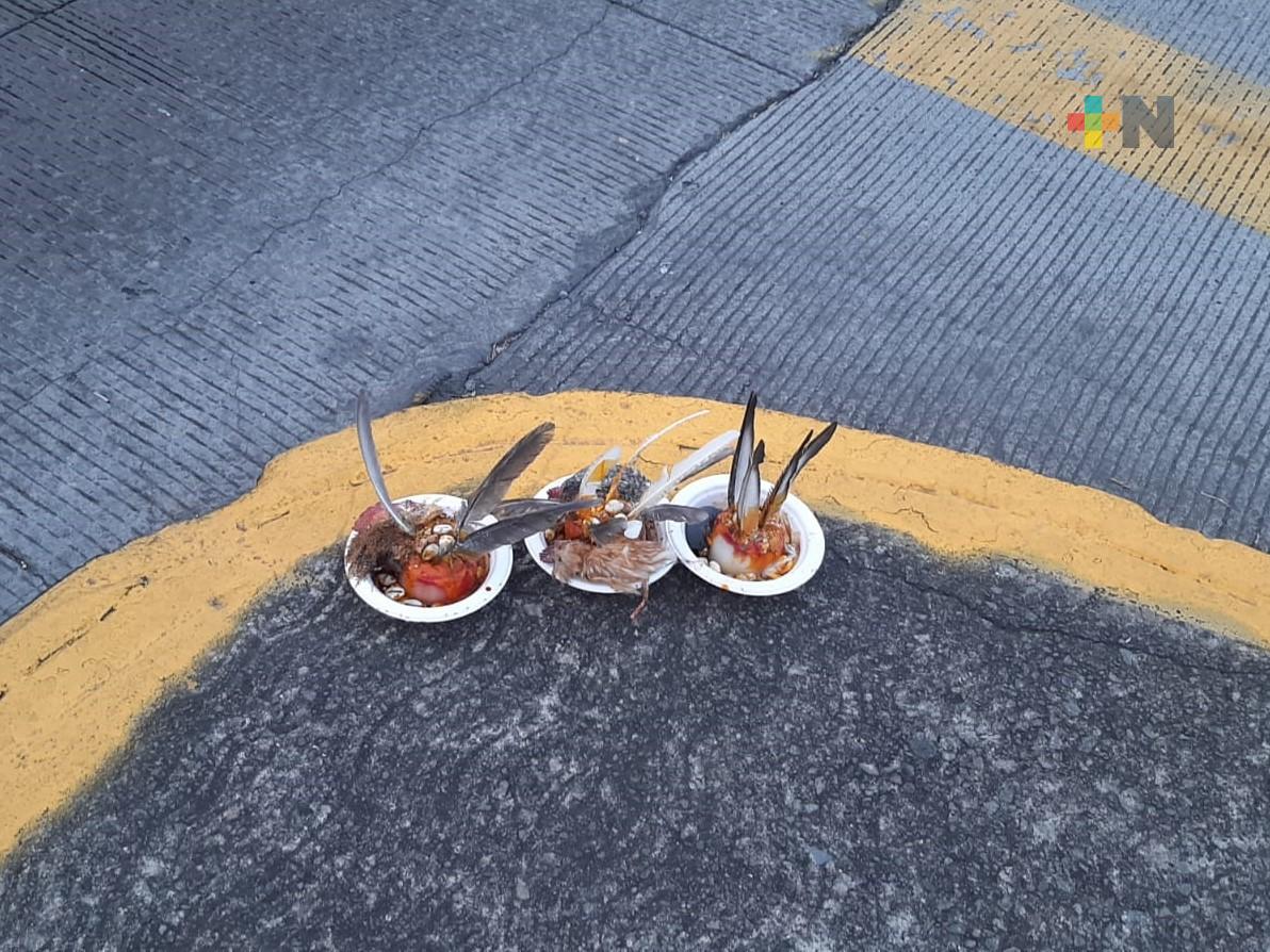 Earth Mission Veracruz manifestó rechazo al sacrificio de animales para fines de santería