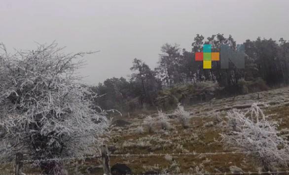 Ingresa el Frente Frío #29 en la sierra de Huayacocotla
