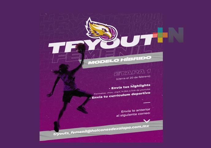 Halcones de Xalapa Femenil anuncia tryouts para sumarse al equipo