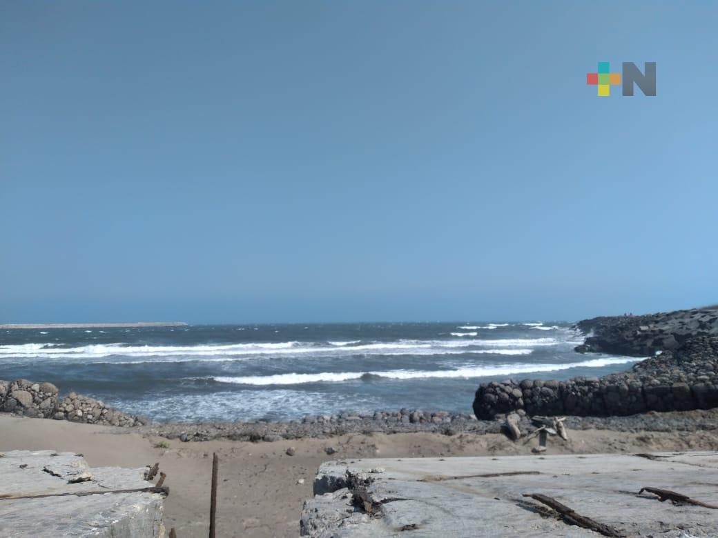 En Veracruz, 29 municipios costeros activan fuerzas de tarea ante evento de norte