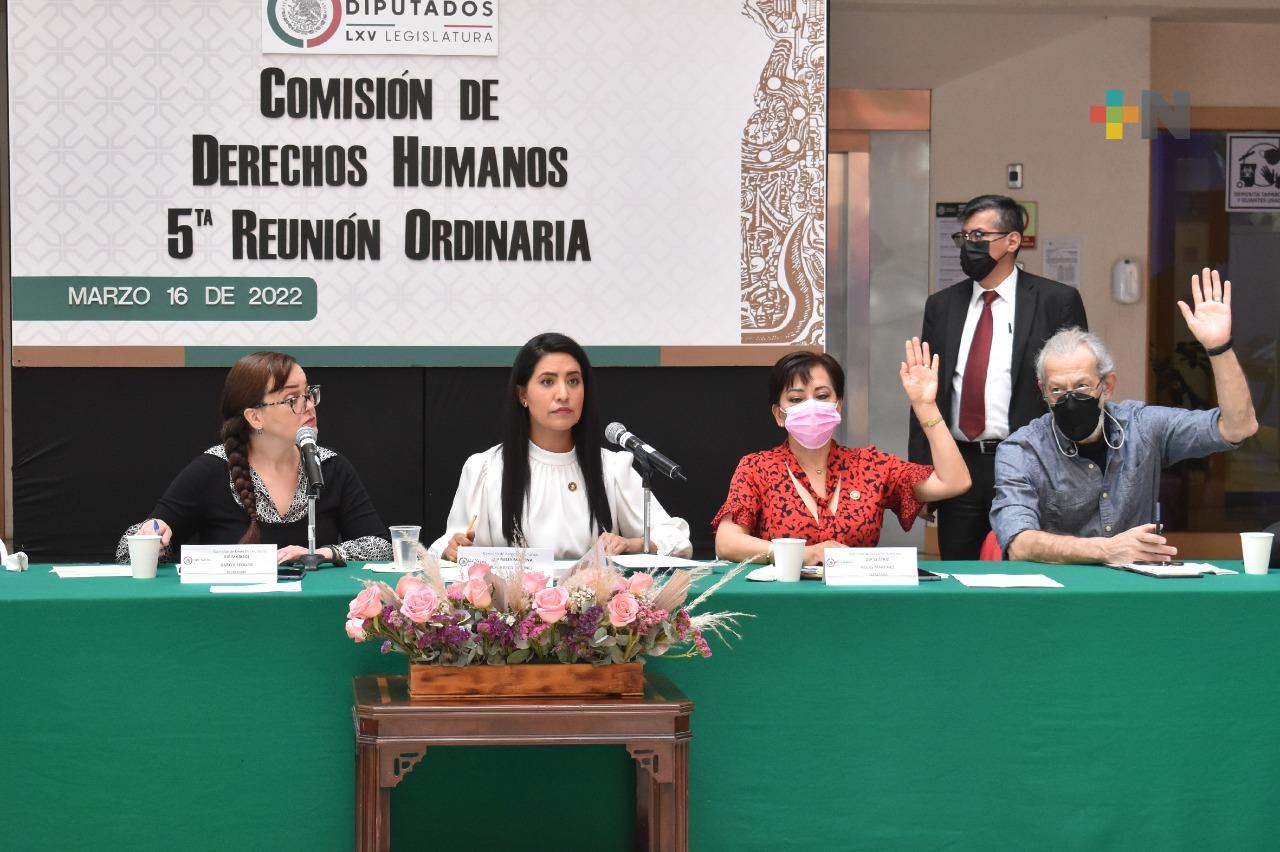 Comisión de Derechos Humanos aprobó dictámenes en materia de Alerta Amber y discriminación