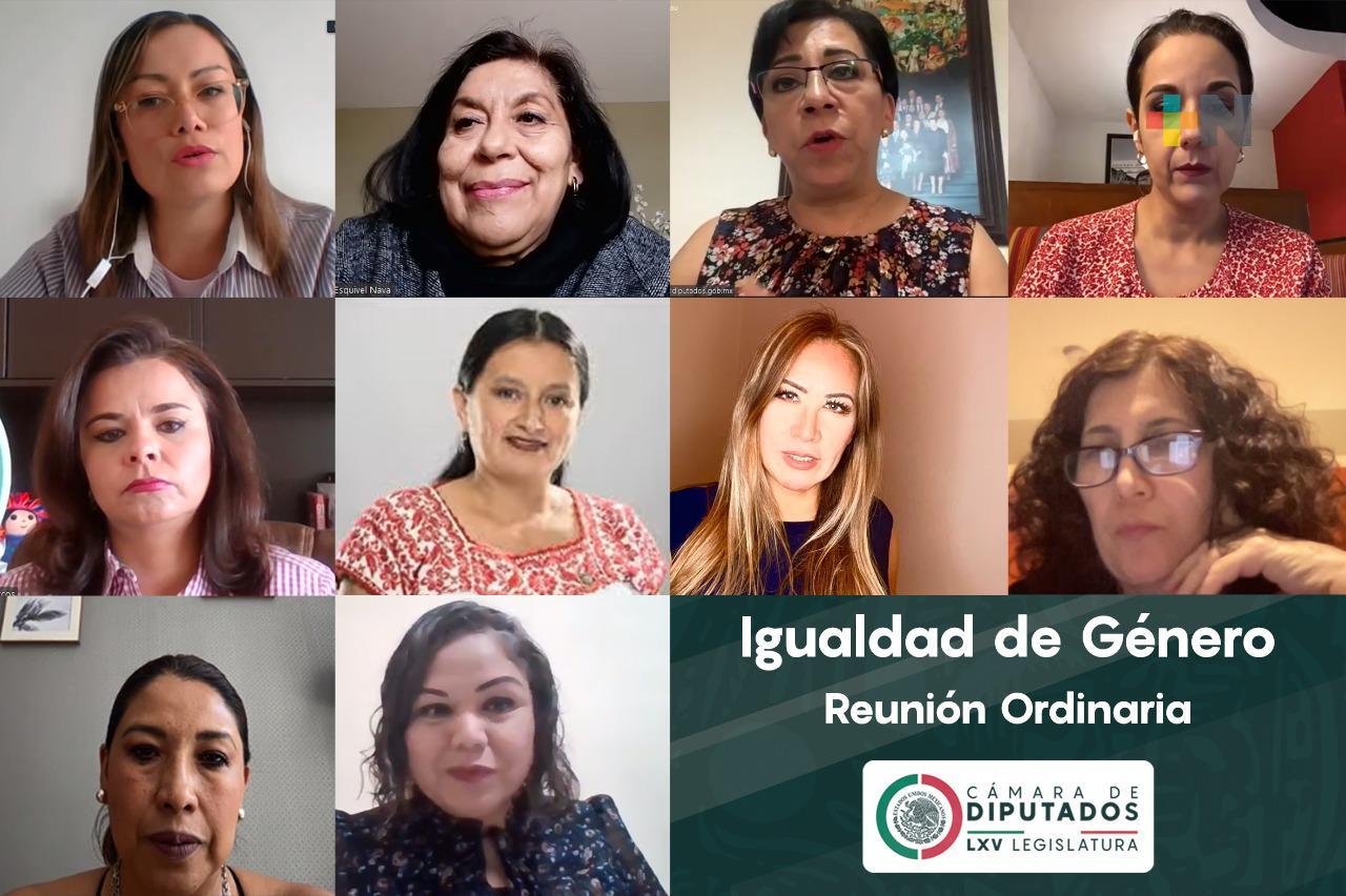 La Comisión de Igualdad de Género aprobó dos dictámenes en favor de las mujeres