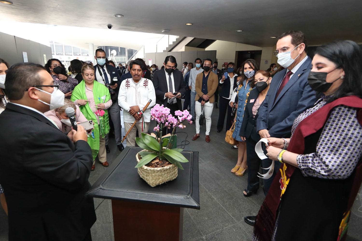 Presentan en el Senado exposición “Orquídeas de Coatepec”