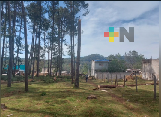 Caída de árboles y fallas de energía eléctrica en Huayacocotla por frente frío 38