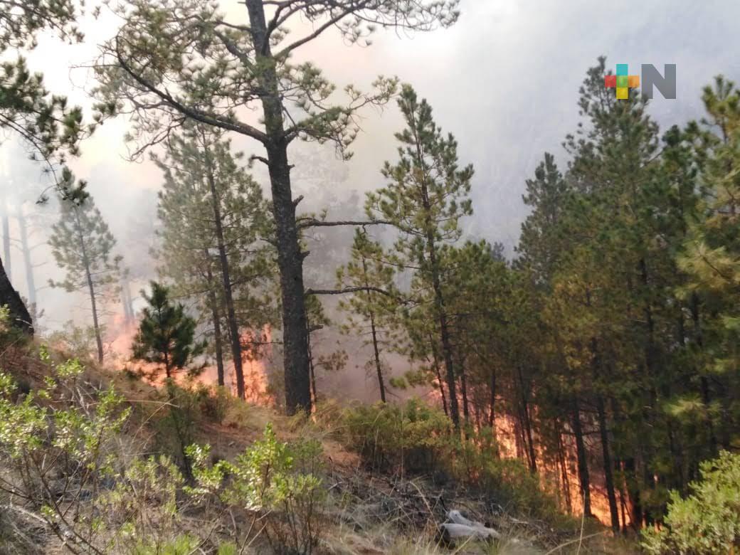 Se han registrado 61 incendios en lo que va del año; sólo un forestal está activo