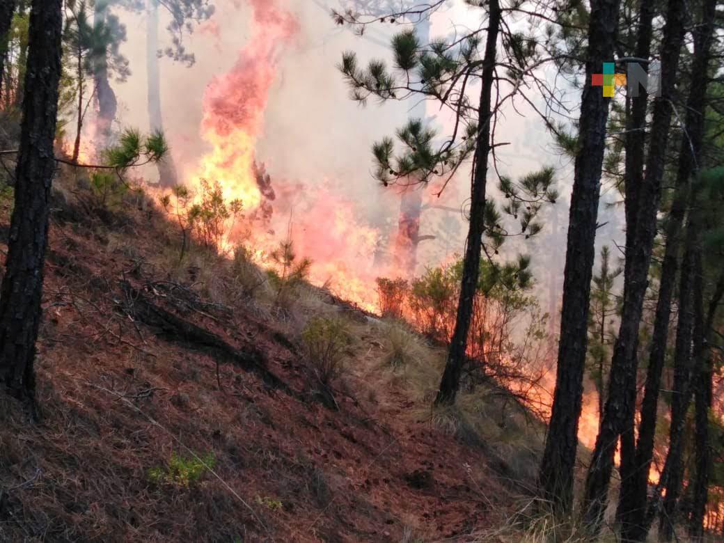Emite Gobernador decreto que prohíbe quema en terrenos forestales y agrícolas hasta 14 de agosto
