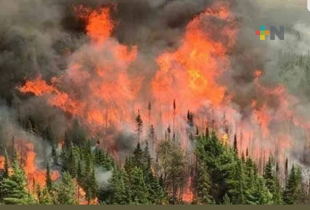 Firma convenio Gobierno estatal con 32 municipios para prevenir y atender incendios forestales