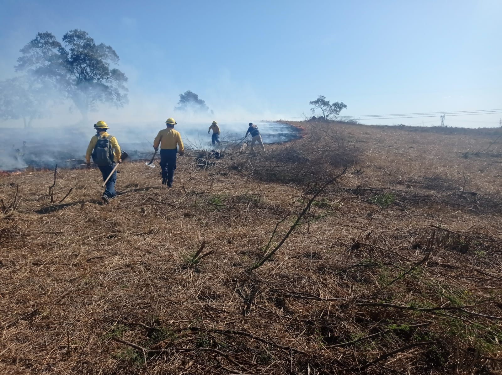 Coordinación de fuerzas de tarea controla incendio de pastizales en Ozuluama
