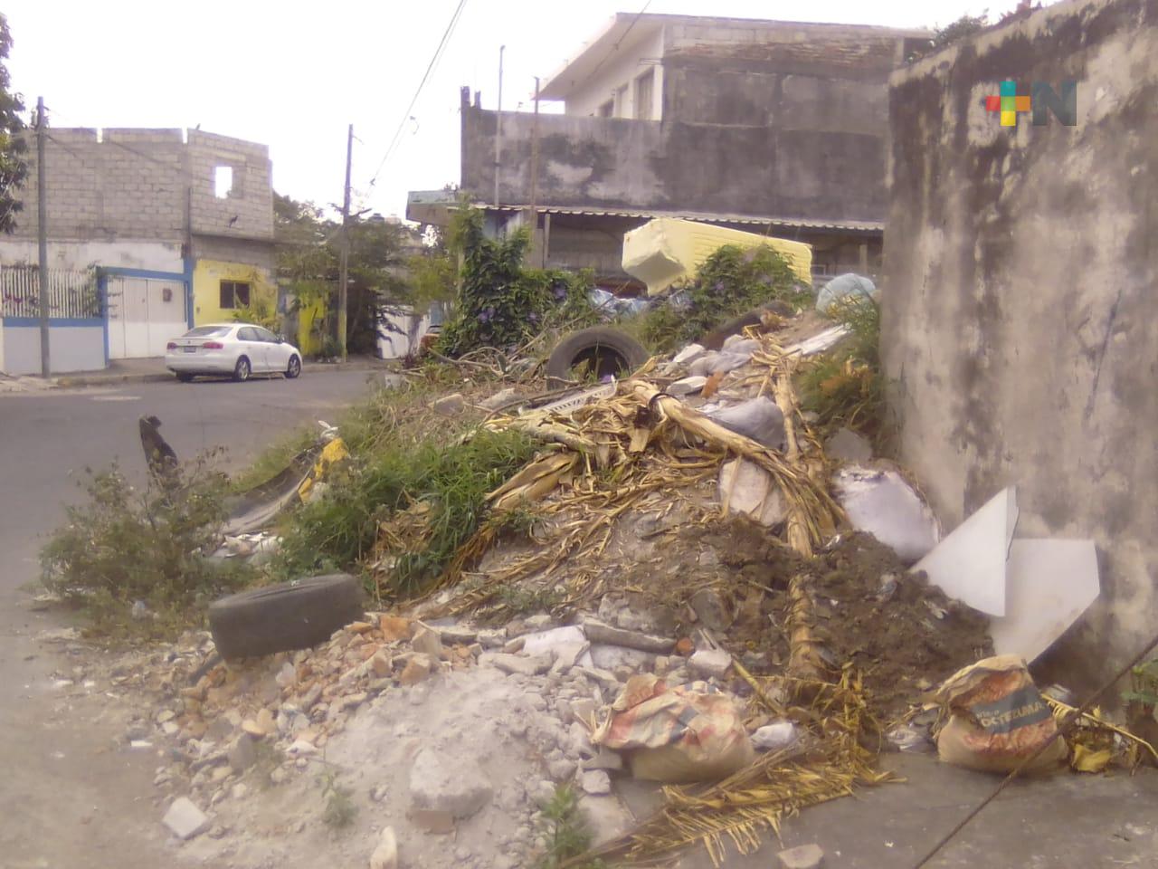 Vecinos de Veracruz reportan, una vez más, basurero que representa riesgos de salud