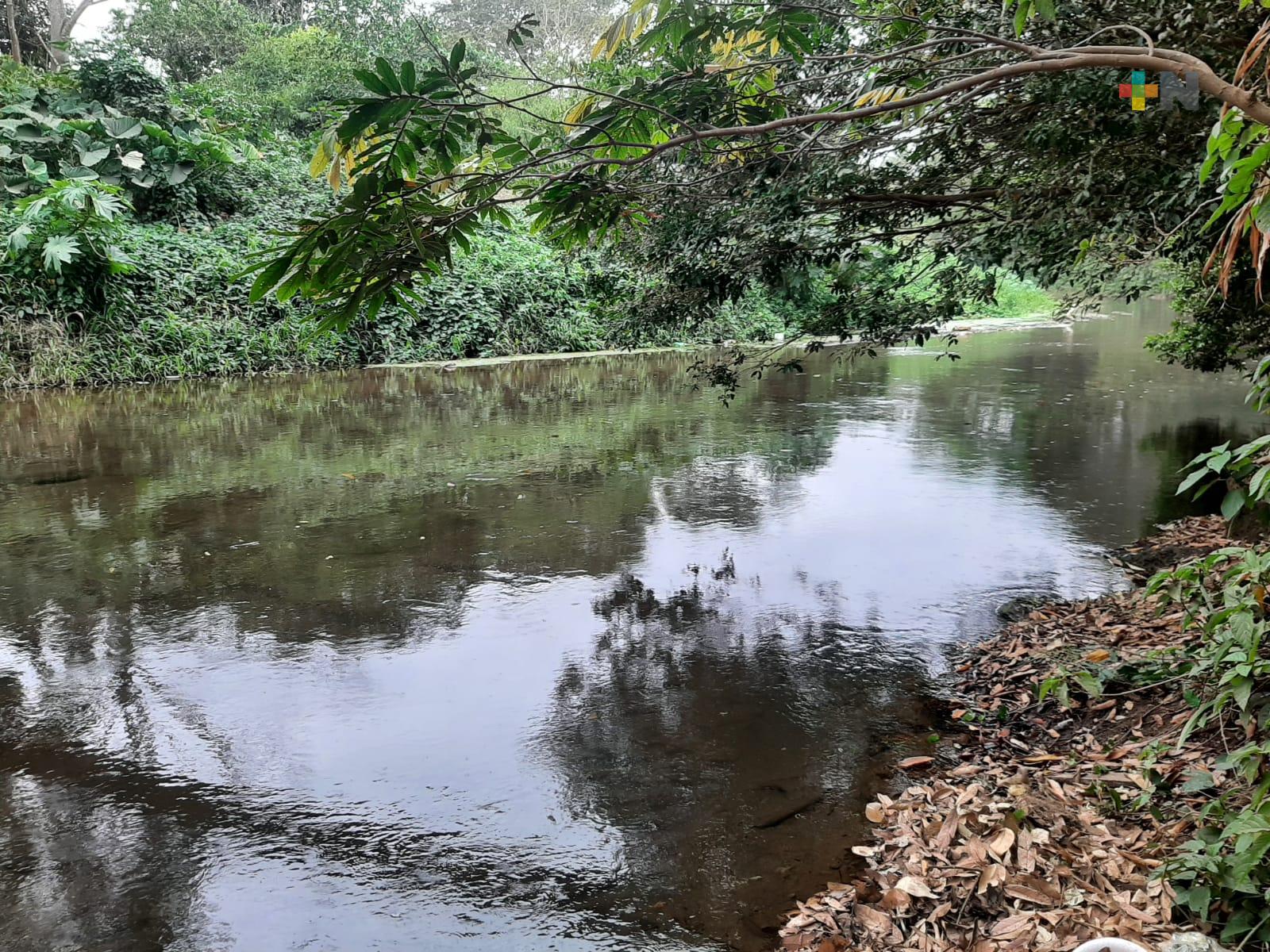 Deforestación y explotación excesiva están acabando con río Jamapa