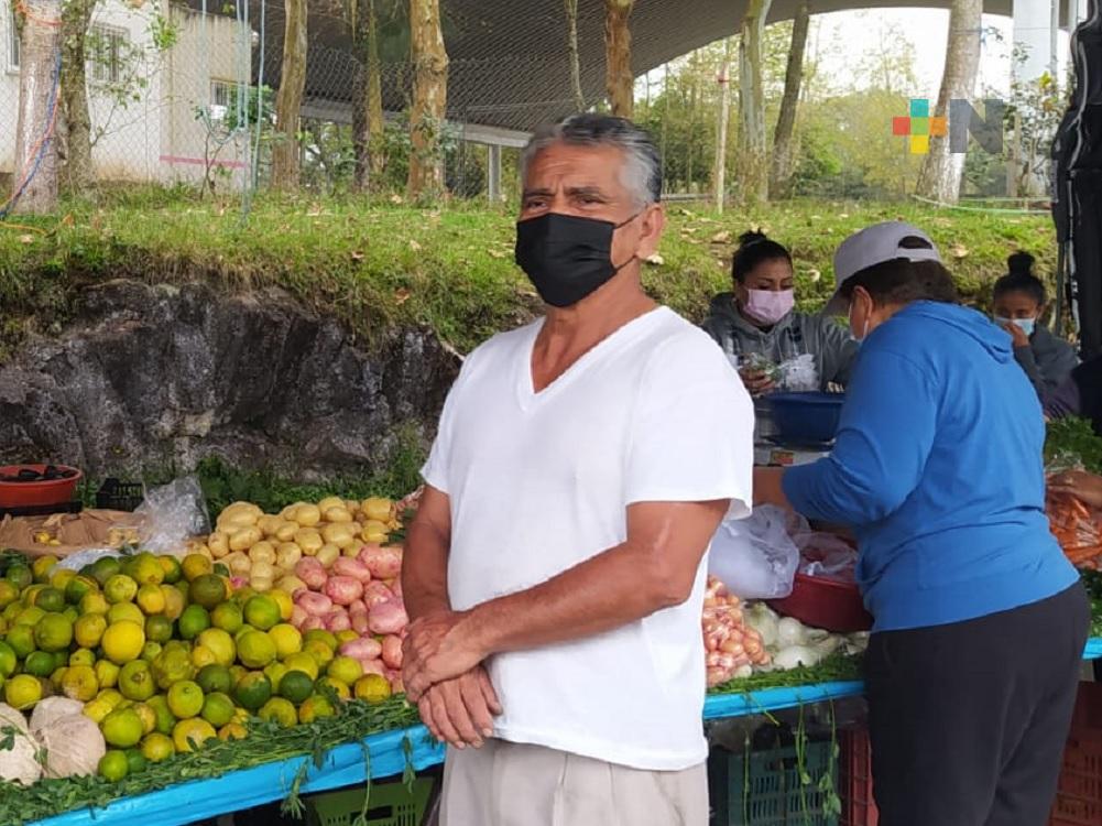 Alza en precio de limón provoca baja en ganancias de comerciantes