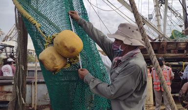 Mantiene Estados Unidos certificación del camarón mexicano para su exportación