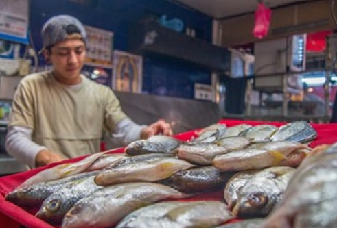 Garantizado abasto de pescados y mariscos durante Cuaresma