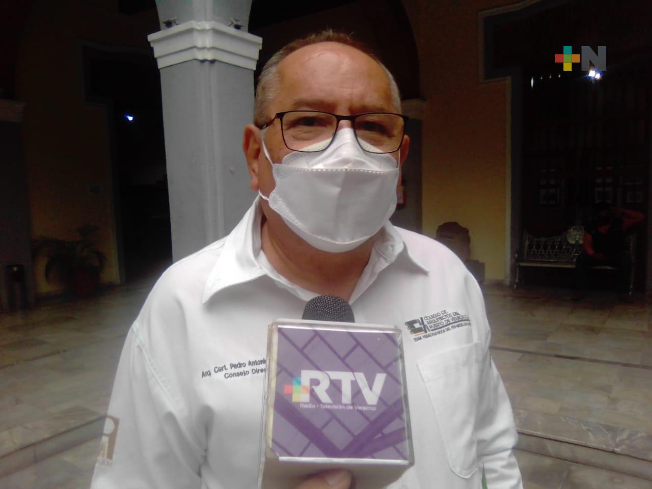 Colegio de Arquitectos sugiere instalar Corredor Peatonal, en el centro del Puerto