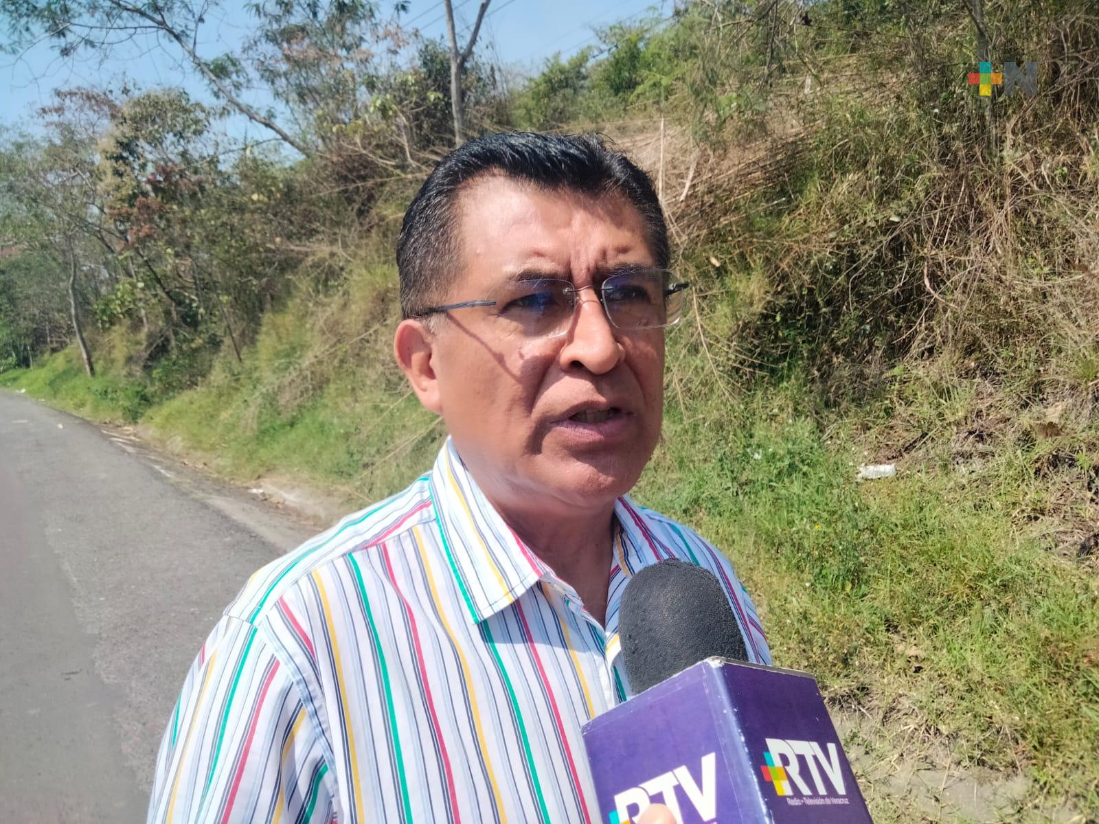 Este año no habrá Feria del Café en Coatepec