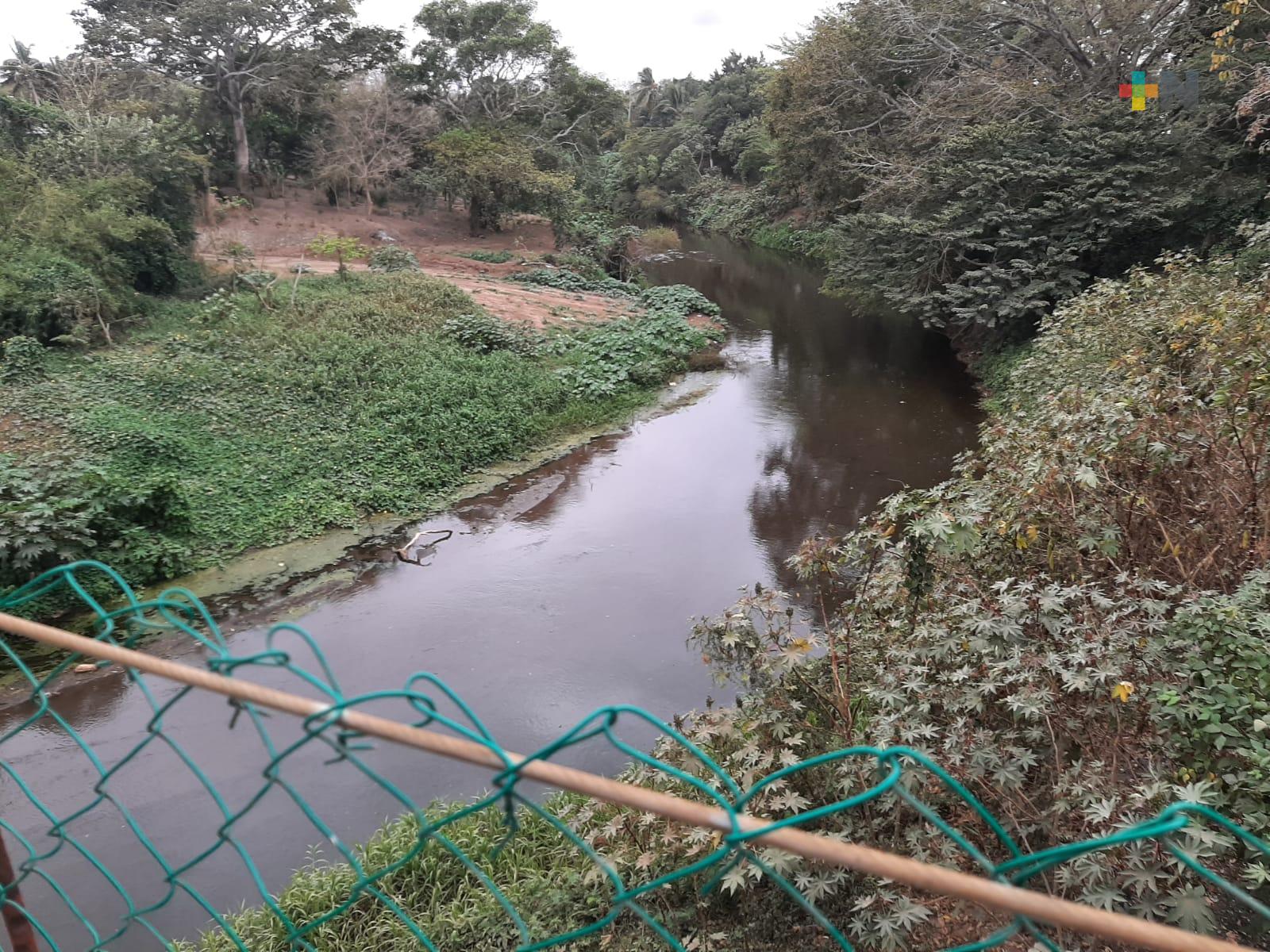 Ríos en Veracruz sin presentar baja en sus niveles: Conagua