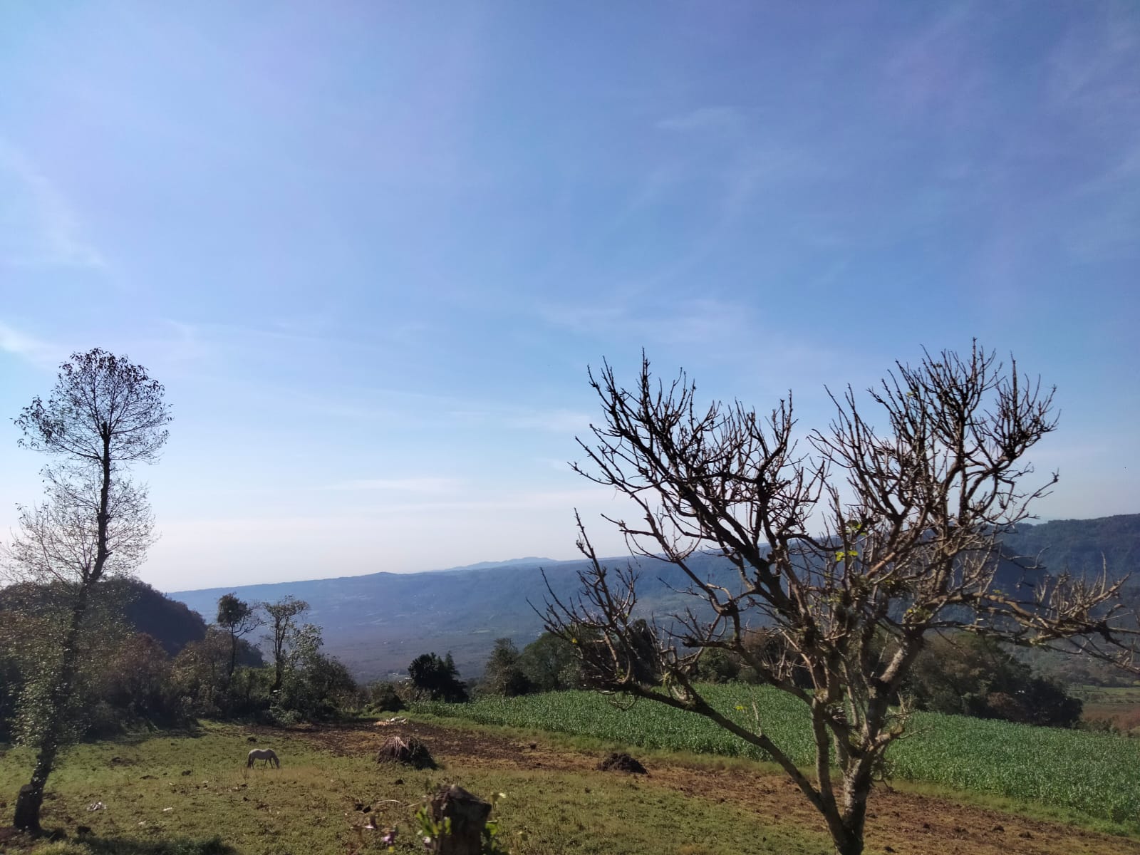 Humedales y construcción de planta de fertilizantes para descontaminar río Naolinco: Cuitláhuac García