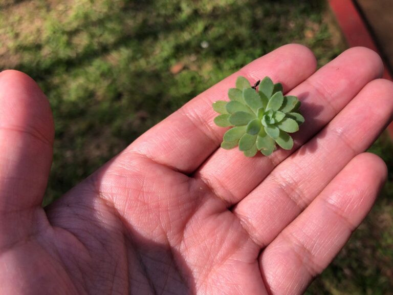 Invita JEX a participar en los talleres del mes de marzo