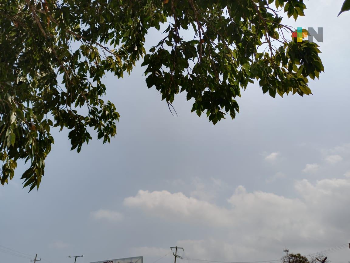 Surada con aumento de temperatura seguida de norte en costas de Veracruz