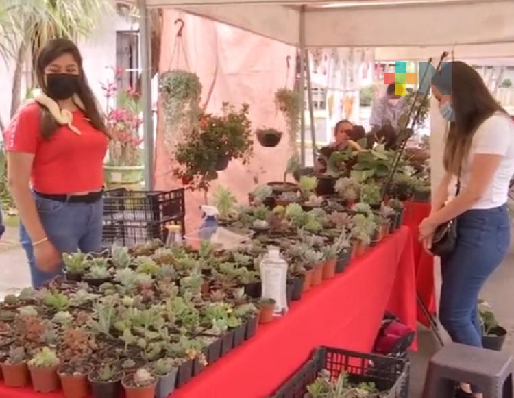Más de 40 viveristas participan en la Expo Flor y Miel Xalapa 2022