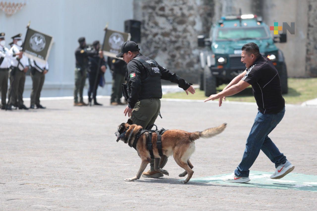 Inicia segundo Diplomado Internacional Táctico K9 Perros Multipropósito en Veracruz