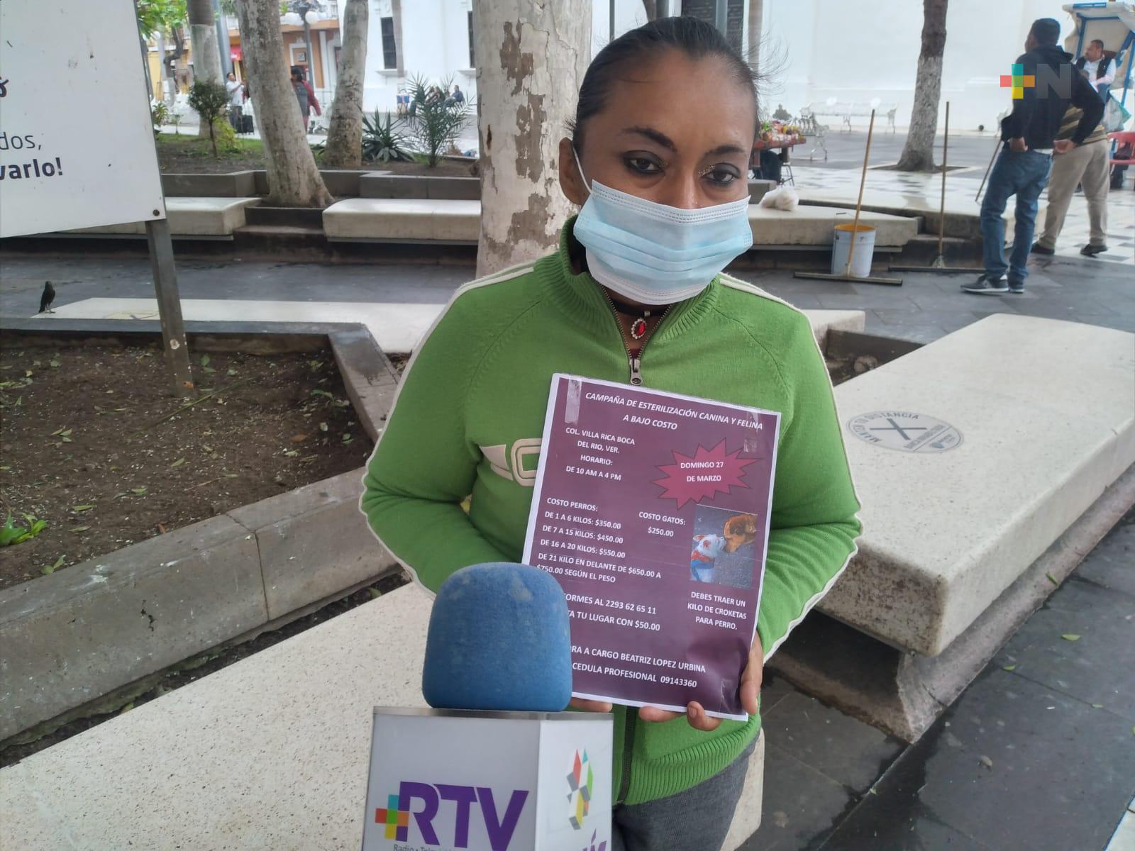 Se reactiva la adopción de mascotas en Veracruz