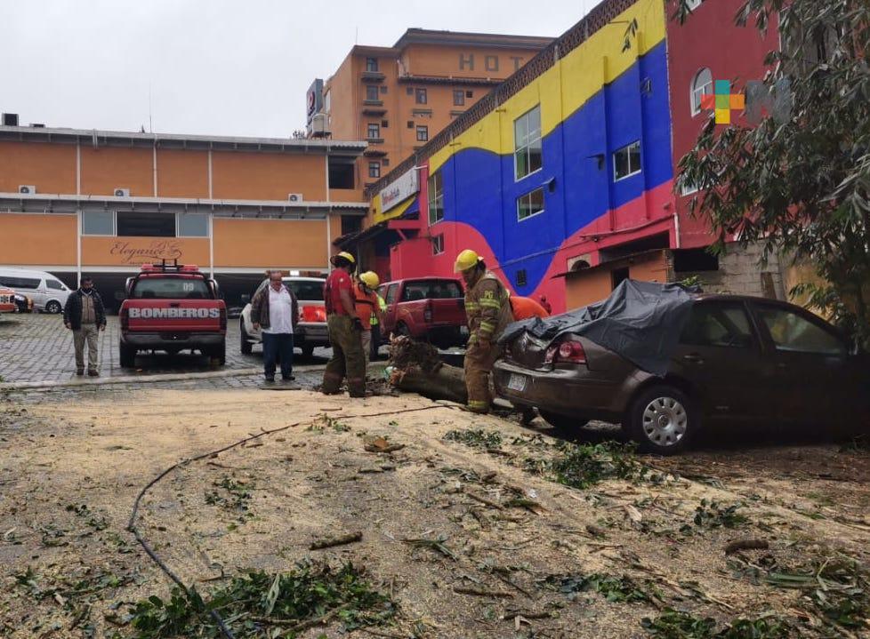 Al momento, 9 municipios veracruzanos reportan alguna afectación por FF35 y norte