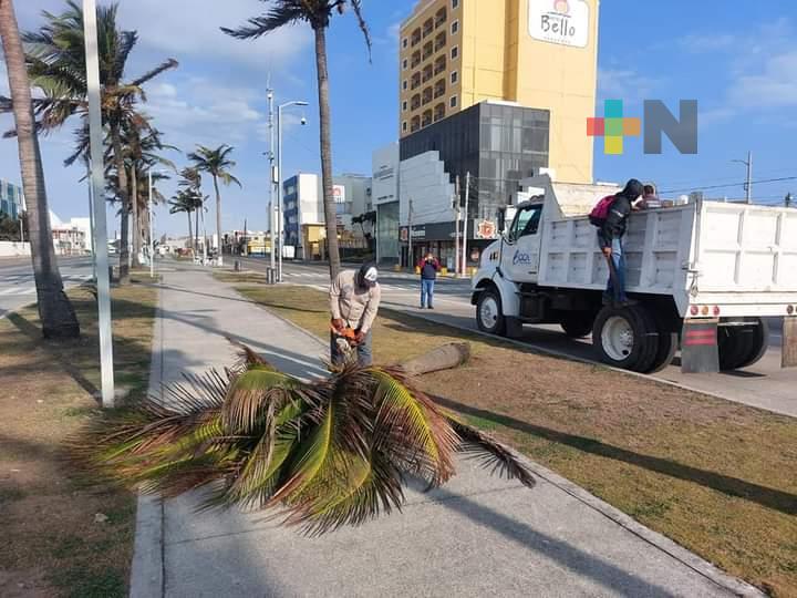 Daños menores en Boca del Río por  FF35