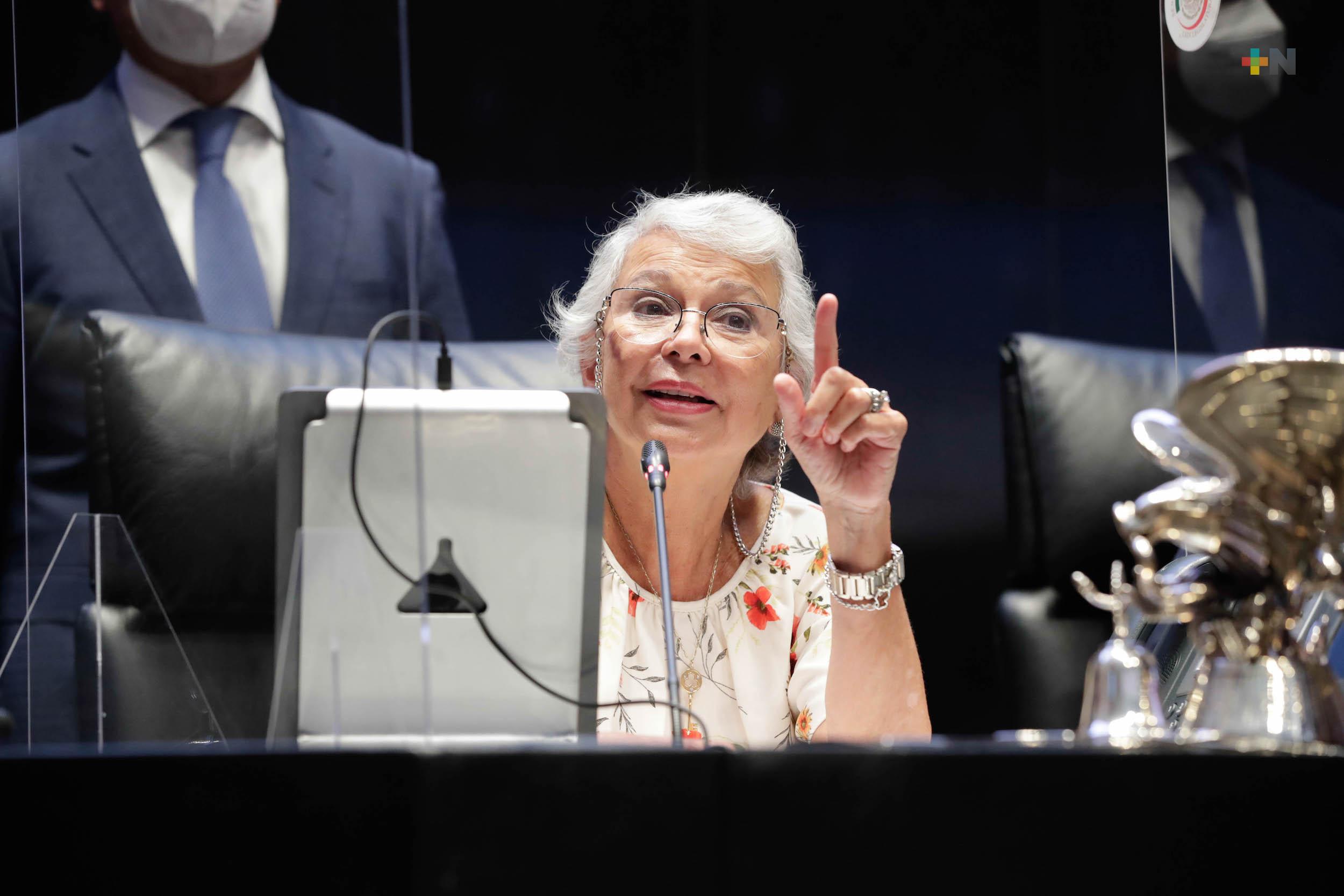 Senado de la República recibió minuta que reforma Ley Minera