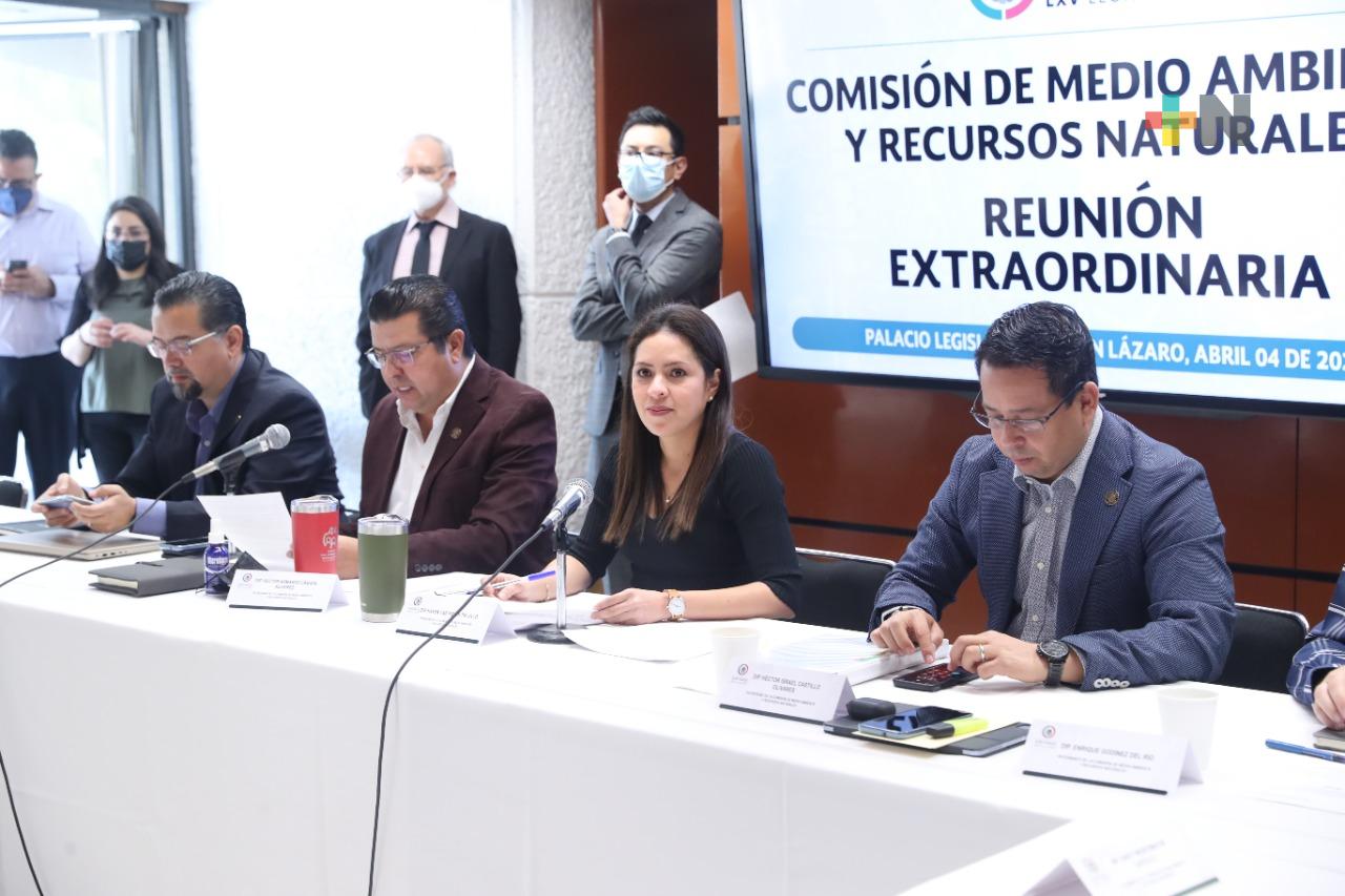 Comisión de Medio Ambiente y Recursos Naturales emite opinión favorable a la iniciativa en materia eléctrica