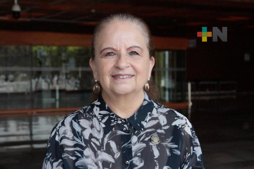 Necesario, impulsar “gran reforma” en materia de seguridad social: Angélica  Cisneros