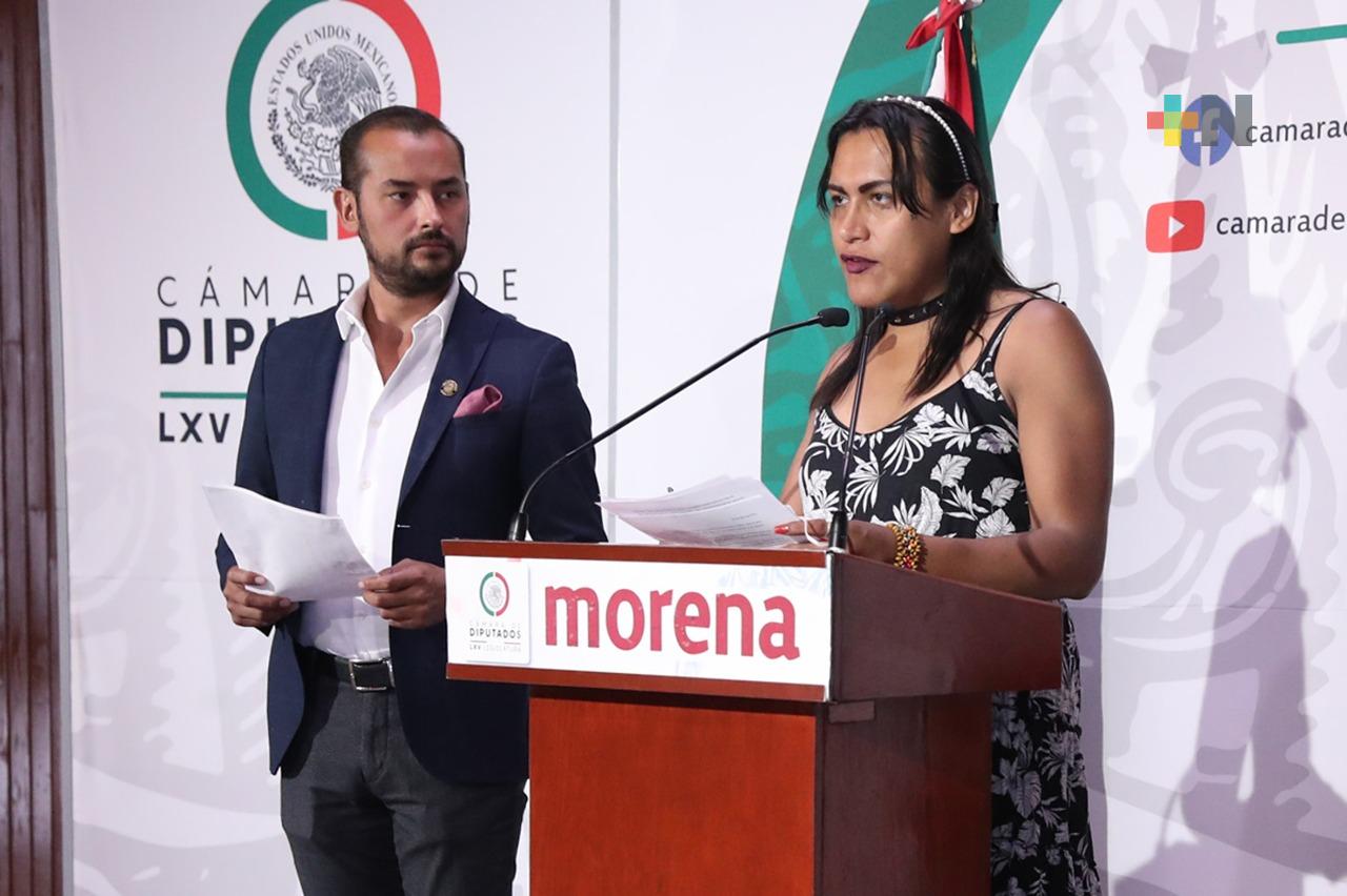 Morena impulsa iniciativas de reforma para incluir el tipo de “violencia vicaria” en la ley