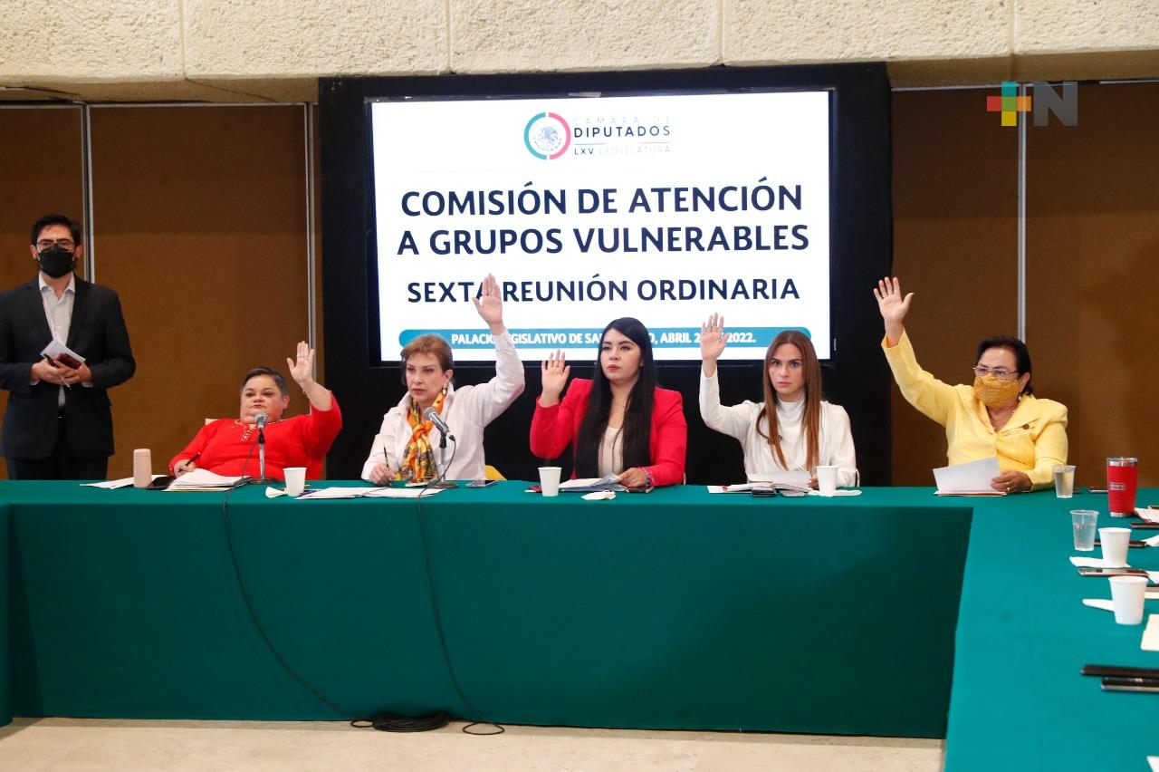 Comisión aprueba dictámenes que garantizan derechos de personas con discapacidad y adultos mayores