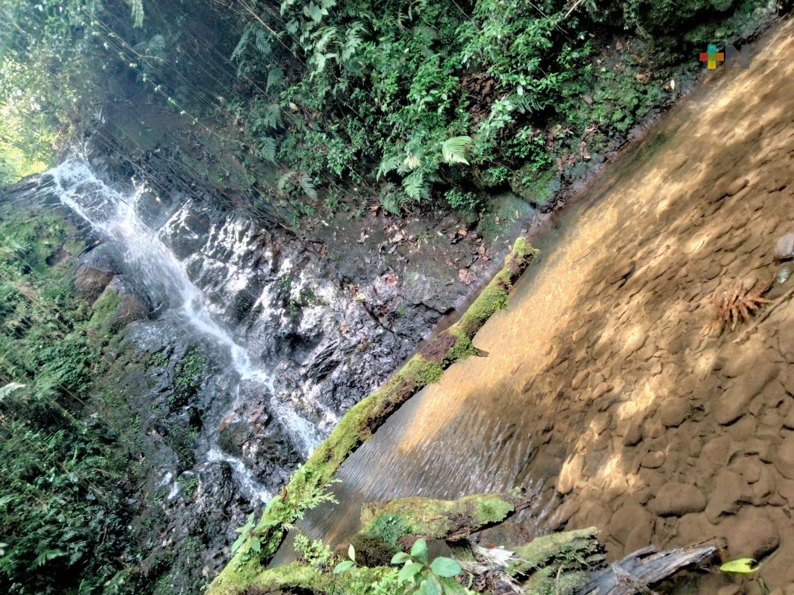 San Andrés Tlalnelhuayocan, municipio que ofrece senderismo, enigmáticas cascadas y platillos de trucha
