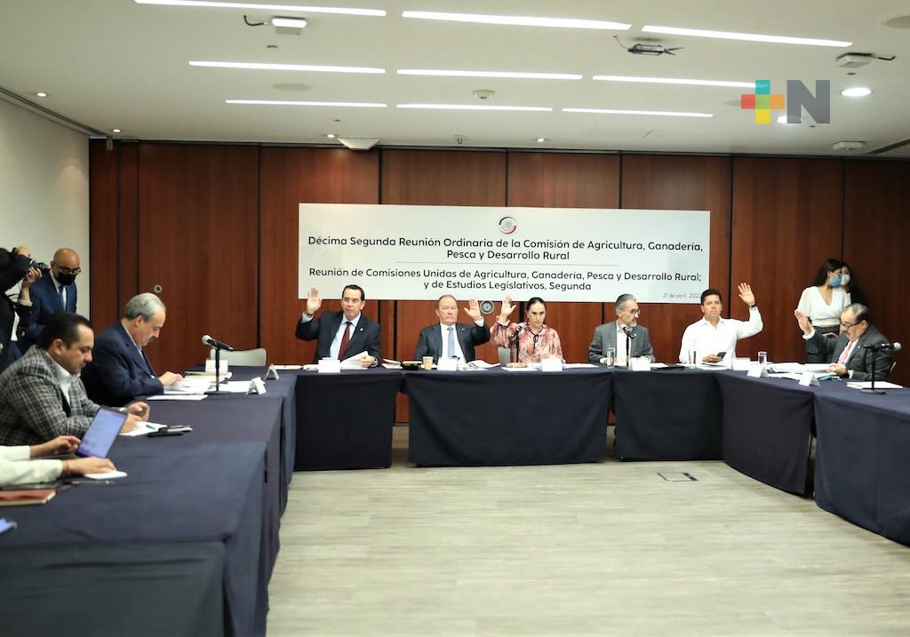 Aprobó Comisión del Senado proyecto para actualizar Carta Nacional Pesquera cada dos años