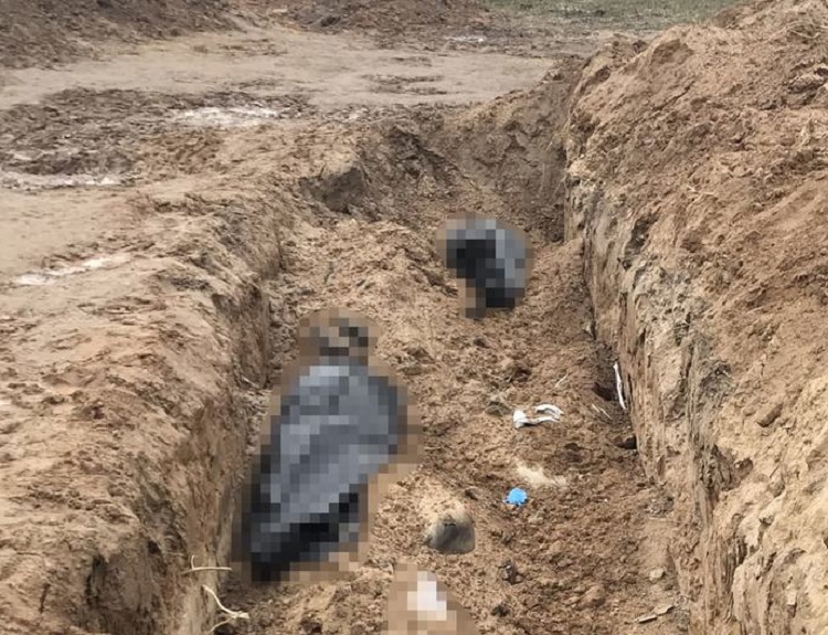 La tortura en Ucrania es “política de guerra” de Rusia